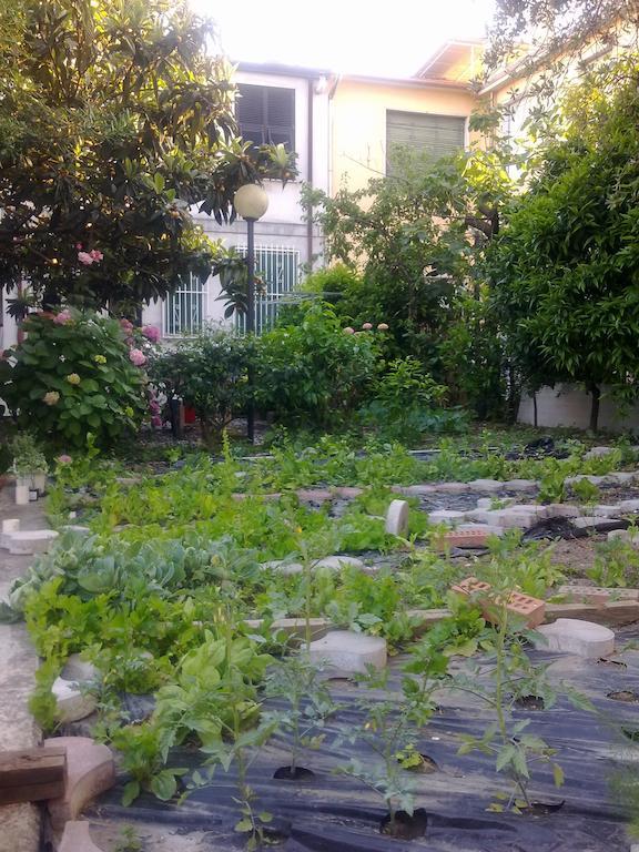 Eco B&B I Due Oleandri Marina Di Carrara Luaran gambar
